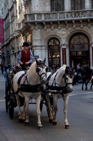 Horse drawn carriage, Stephanplatz, Vienna, Austria