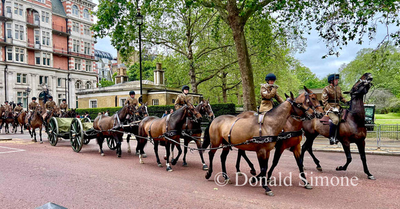 Horse Guard Parade Rehearsal, London