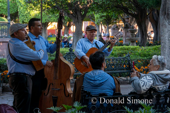 Music in the Jardin.