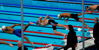 100m freestyle start